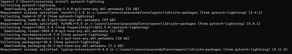 pytorch_lightning_jupyter_notebook_step_three.jpg
