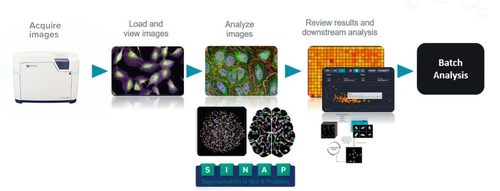 基于机器学习的高通量分析的 IN Carta 成像分析软件