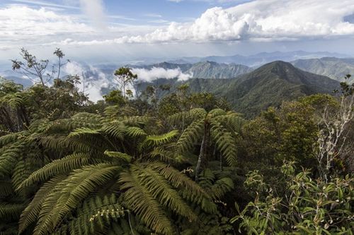 Parque Nacional Turquino