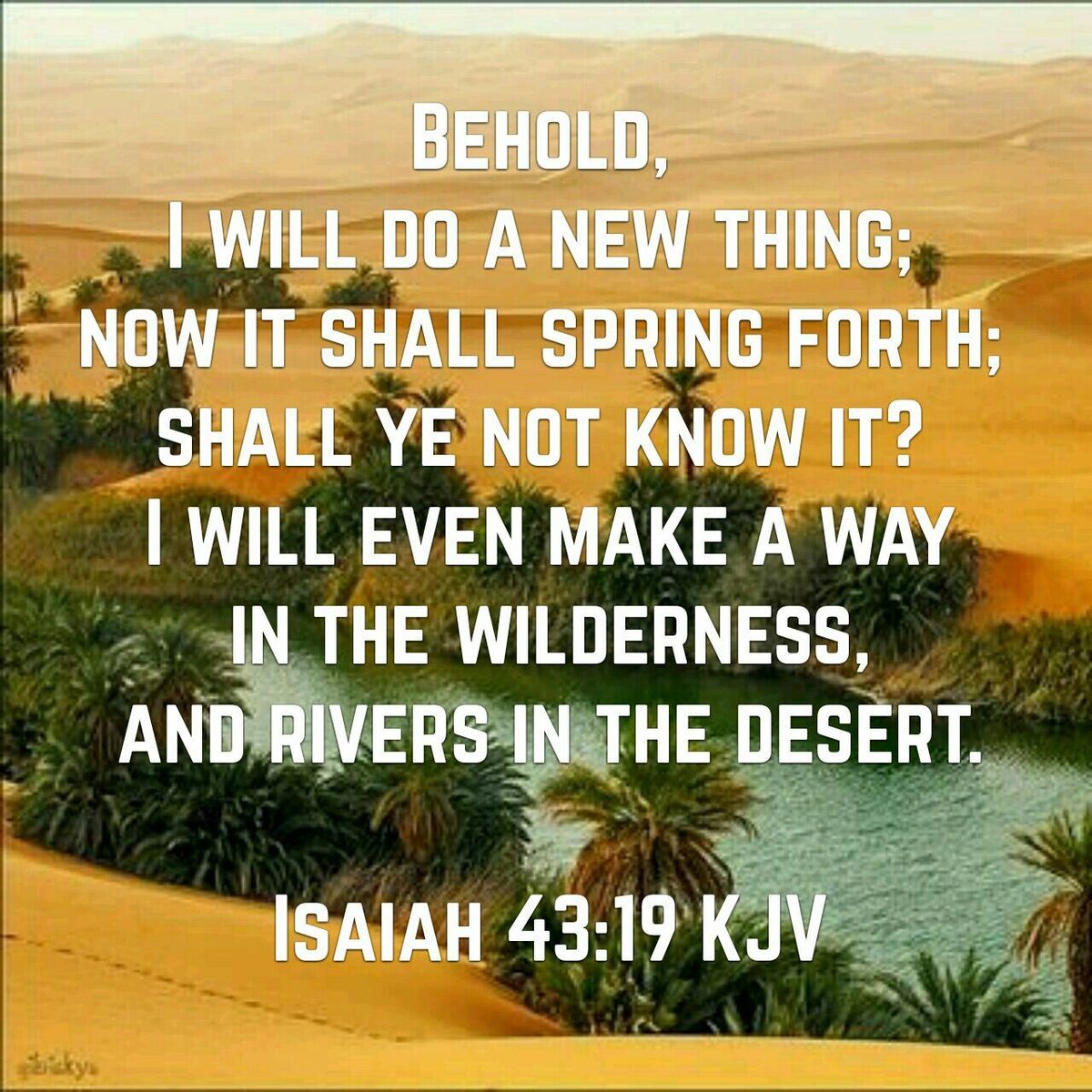 Isaiah 43:39 | Isaiah 43, Rivers in the desert, Isaiah 43 19