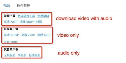 bilibili video downloader chrome