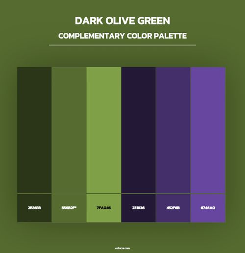 Dark Olive Green - Complementary Color Palette