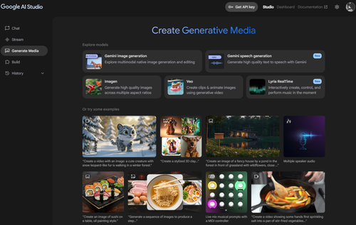 在 Google AI Studio 中使用 Gemini Pro Vision