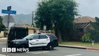 US 'serial slingshot shooter', aged 81, arrested