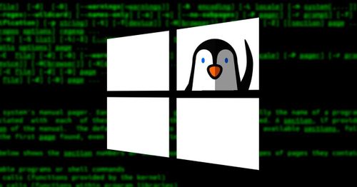 cómo configurar WSL2 con un kernel Linux personalizado y red-3