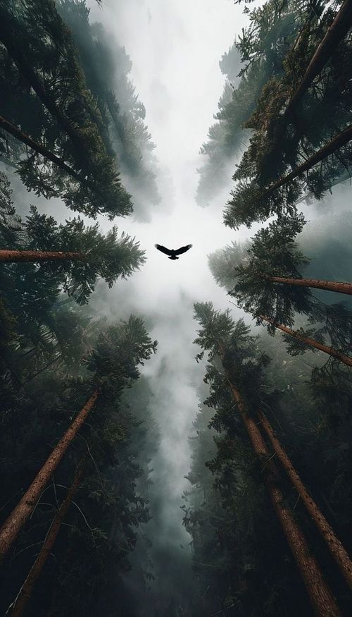 the bird is flying through the foggy forest