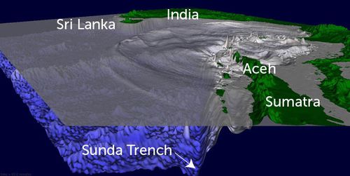 A graphic depicting wave heights from the tsunami off Sumatra one hour after its generation.