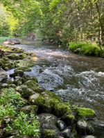 Muddy trails, warm air predicted for summer | Adirondack Explorer