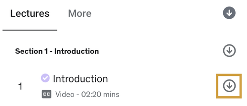 download_course_lecture.png