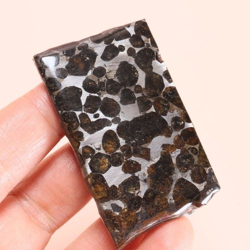 Pallasite Sericho Olive Meteorite Slices Specimen Natural Meteorite Material Sliced Collection E07