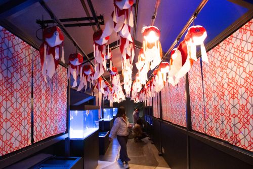 Sumida Aquarium Tokyo