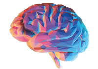 Homepage - Cambridge Cognition