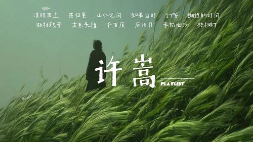 Playlist | ☔️许嵩・雨天治愈电台 | “在淅沥雨声里，与旧时光温柔重逢”| 放松 | 运动 | 发呆 | 耳机独享