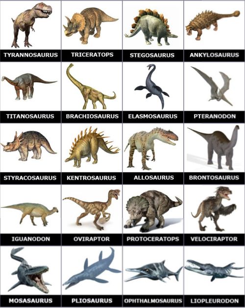 Dinosaur Pictures for Kids