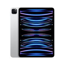 Apple 2022 iPad Pro (11-inch, Wi-Fi, 1TB) - Silver (Renewed Premium)