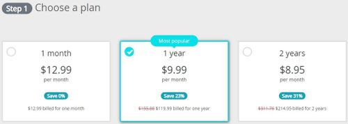 Perfect Privacy pricing