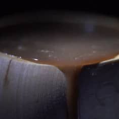 Ayahuasca