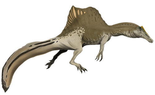 Spinosaurus aegyptiacus