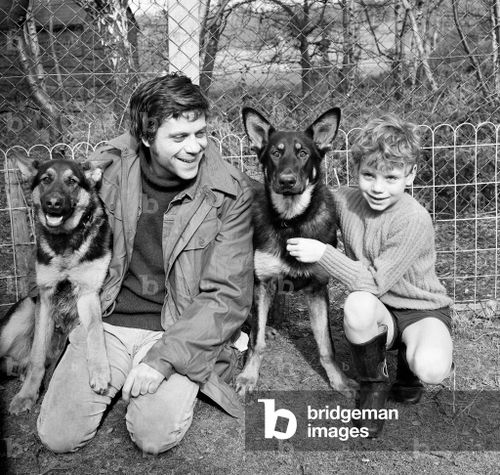 Actor, Oliver Reed, with his 7 year old son Mark and their alsatians Rex (left) and Rinty. 10th March 1968.