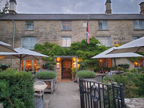 The Wild Rabbit