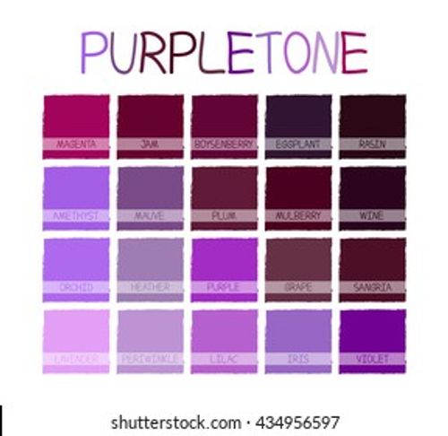 Purpletone Color Tone with Name Vector Illustration Stock Vector