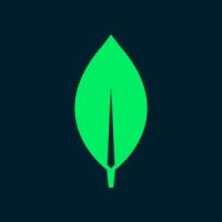 MongoDB | Overview, Mission, Vision, Values, Principles