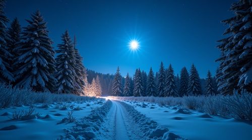 Create your own openai image with Canva