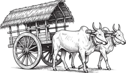 Traditional bullock cart with two oxen and thatched roof, vintage hand-drawn vector illustration of rural transport and ancient agriculture heritage.