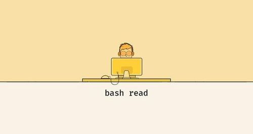 Linux Bash read