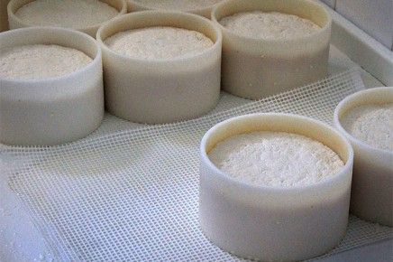 Queso de cabra palmero en sus moldes