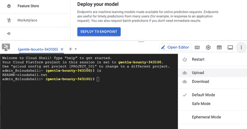 图 5.25 – 上传 JSON 有效负载