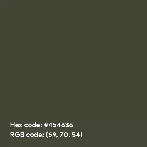 Dark Olive Green (RAL Design) (Hex code: 454636) Color Thumbnail