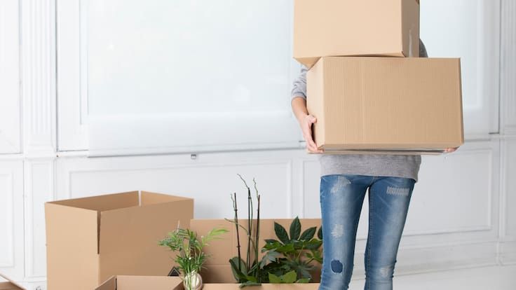 Imagen del artículo