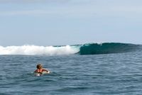 Surf Blog For the Modern Surfer // Lush Palm