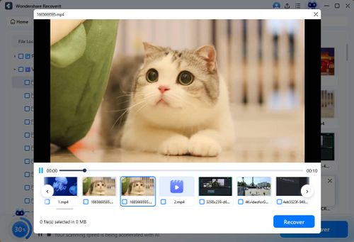 preview scanned files on ext4 device