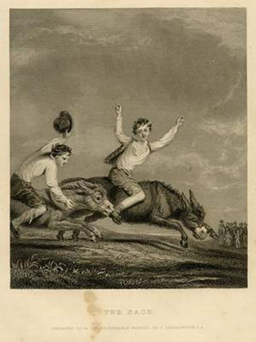 Donkey Race, Antique Engraving