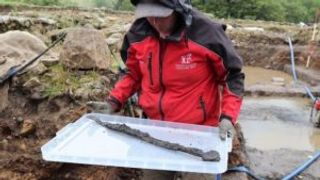 The Vindolanda excavations