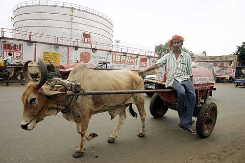 Kerosene bullock-cart transporters make their way to a fuel depot at in central Mumbai, India on Monday, June 5, 2006. India, Asia's fourth-largest...