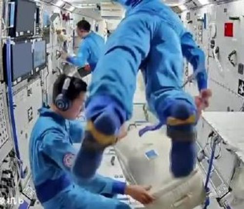 太空番茄迎大丰收