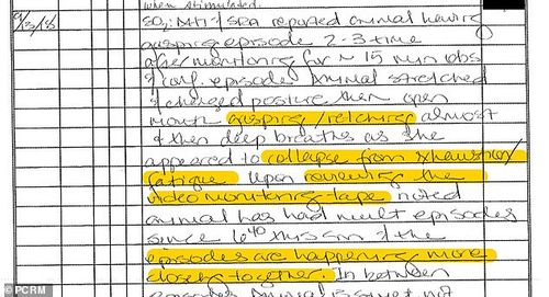 The lab notes obtained by PCRM explain that just two days after one surgery, a test monkey was 'repeatedly vomiting, gasping, retching and had very little interaction with environment / observers.' These allegations in lab notes appear to have been made by Neuralink staff