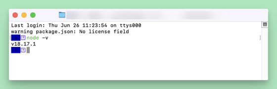 安装使用 Google Gemini CLI