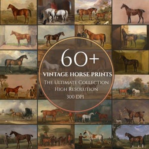 May include: A collection of vintage horse prints, featuring various breeds and scenes. The images showcase horses in fields, stables, and with people. The text in the center reads "60+ Vintage Horse Prints, The Ultimate Collection, High Resolution, 300 DPI."