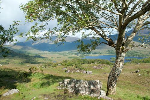 Northern Germany Adventure