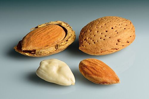 Almonds_-_in_shell,_shell_cracked_open,_shelled,_blanched.jpg