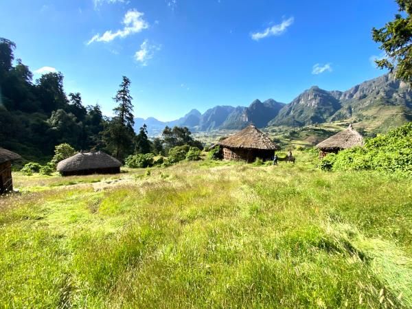 Wof Washa Forest - Hiking Trails in Ethiopia