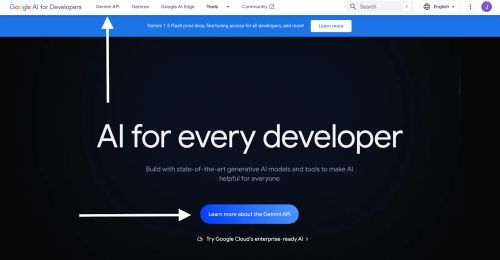 Accessing Gemini API page