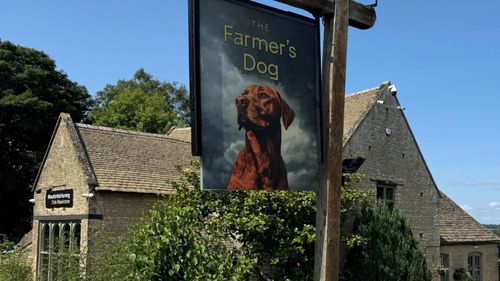 The Farmer's Dog