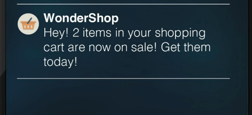 push notification example 3 896x1024 jpg 896%c3%971024 13 1