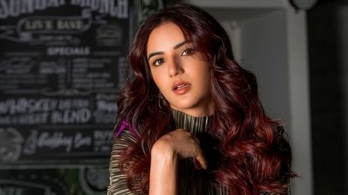 Jasmin Bhasin says when a person is famous, they are often misjudged.