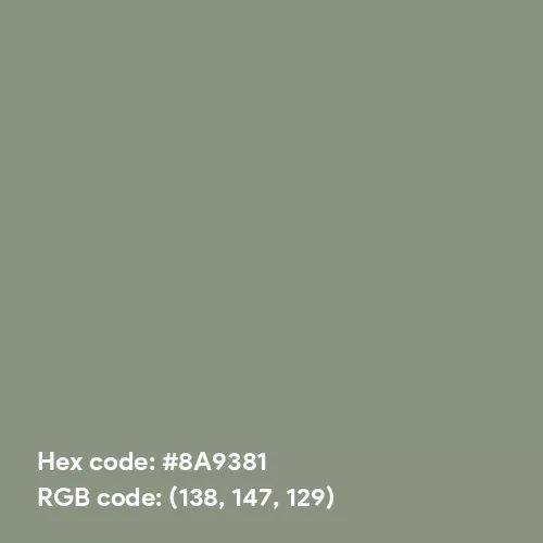Matte Sage Green (Hex code: 8A9381) Color Thumbnail